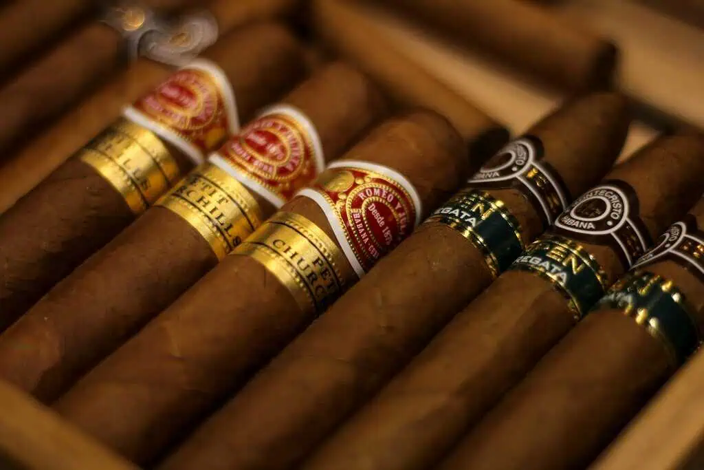 tiago-claro-94eoQHqcUCY-unsplash