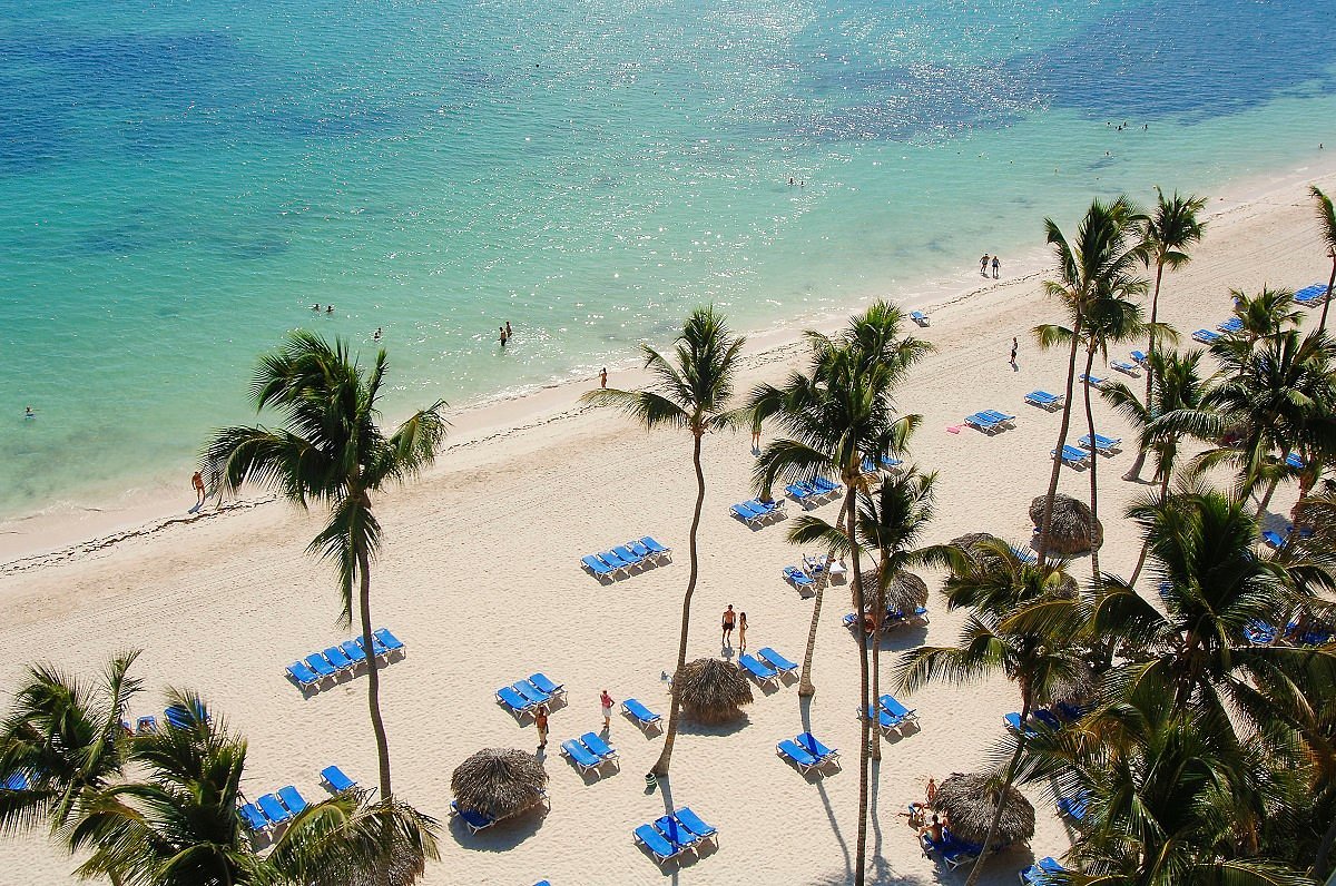 Melia caribe